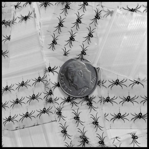 100 Mini Ziplock Plastic 1010 Apple Bags Baggies Skinny Black Spider Design 1&#034;