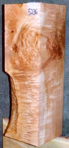 Birdseye Maple Burl Blank #5236 Intarsia-inlay-Game Call Lumber- Veneer Wood