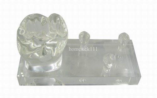 Dental Crystal Tooth Business Name Card Holder Case Transparent G026 small  hom