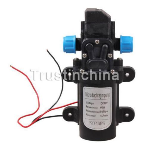 5l/min dc 12v 60w micro diaphragm high pressure water pump automatic switch boat for sale