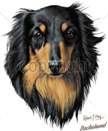 Dachshund Long Hair Dog HEAT PRESS TRANSFER for T Shirt Sweatshirt Tote Bag 835