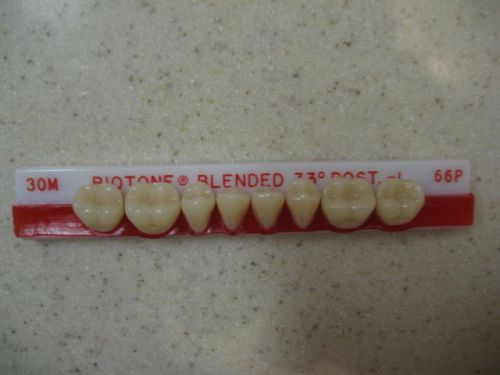Dentsply Trubyte BioTone 33° Lower Posterior Mould 30M / 66P Dental Teeth