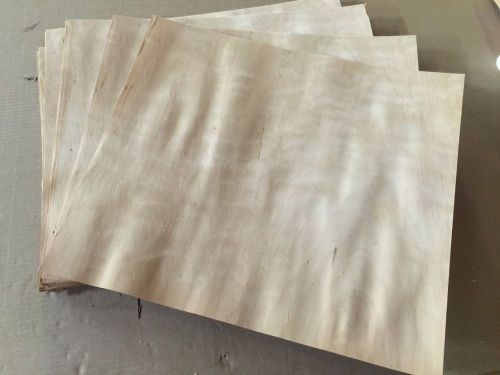 Wood veneer birch 19x17 22 pieces total raw veneer &#034;exotic&#034; bi1 1-8-15 for sale