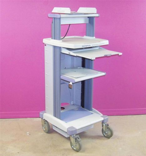 Olympus wm-n60 mobile worstation endoscopy medical trolly cart guaranteed! for sale