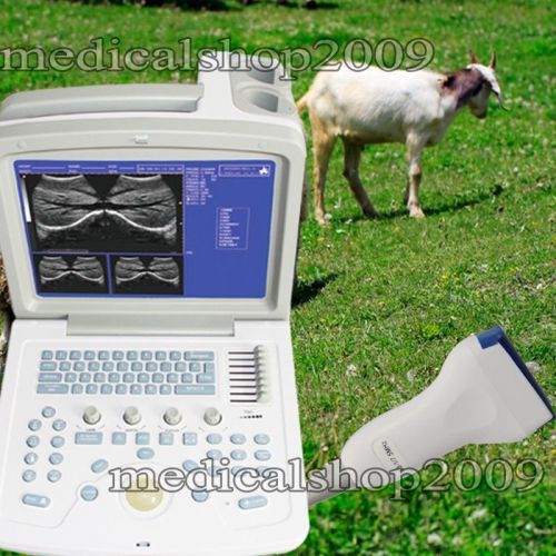 Veterinary vet portabl ultrasound scannerl 7.5mlinear probe b ultrasonic machine for sale