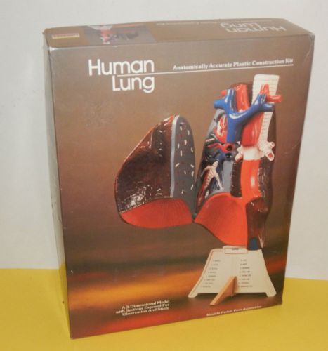 Lindberg HUMAN LUNG Model Kit 3D in Box UNBUILT