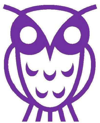 30 Custom Purple Abstract Owl Personalized Address Labels