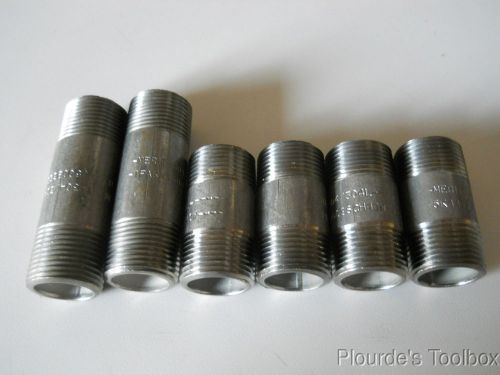 Lot of (6) New 3/4&#034; Merit Stainless Steel Nipples 2&#034; &amp; 3&#034; Long, Schedule 40 Pipe