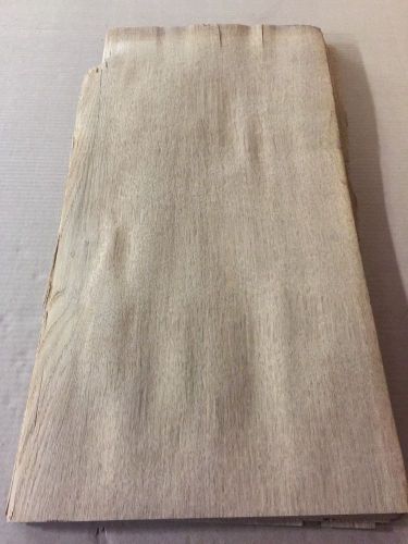Wood Veneer English Brown Oak 12x24 14 Pieces Total Raw Veneer&#034;EXOTIC&#034;BO8 1-8-15