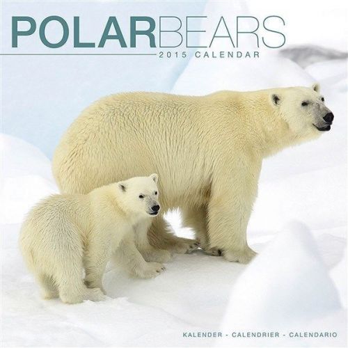 NEW 2015 Polar Bears Wall Calendar by Avonside- Free Priority Shipping!