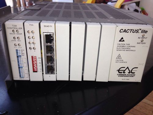 CACTUS.lite Carrier Access, TDM Controller, FXS, QUAD T1, Power Supply Battery