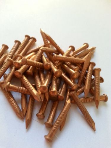 LOT of 50 pcs Solid Copper Nails  0.8&#034;/19.7mm/