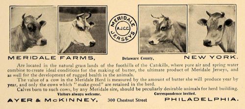 1909 ad ayer mckinney meridale farms jersey cows pa. - original advertising cl7 for sale