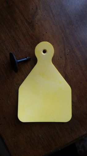 Livestock, Cattle, Sheep, Appollo Blank Yellow Ear Tags and Backings 100ct *NEW*