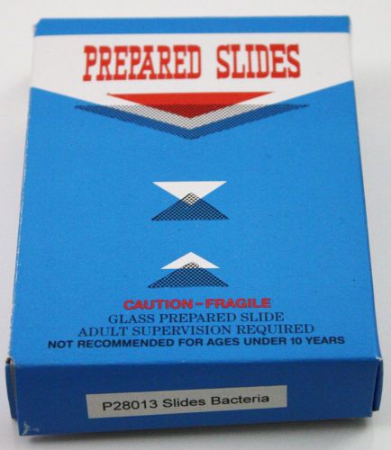 Prepared bacteria slide set, glass slides - set of 12 for sale