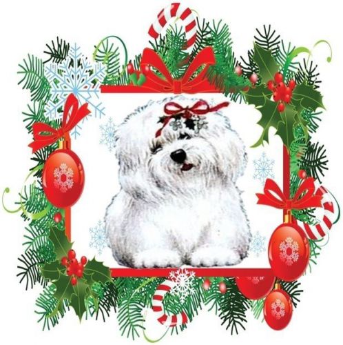 30 Personalized Christmas Animals Return Address Labels Gift Favor Tags (xa22)