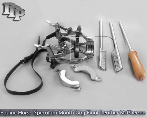 Equine dental kit set speculum horse mouth gag float steel leather mcpherson for sale