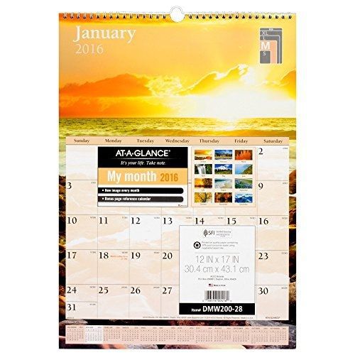At-A-Glance AT-A-GLANCE Monthly Wall Calendar 2016, Scenic, 12 x 17 Inches