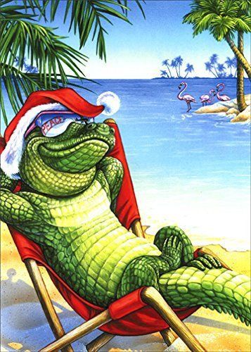 Holiday Peace - Box of 18 Warm Weather Christmas Cards