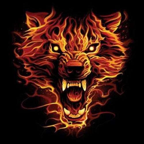 Flaming Wolf HEAT PRESS TRANSFER for T Shirt Sweatshirt Tote Quilt Fabric  222o