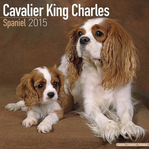 NEW 2015 Cavalier King Charles Spaniel Calendar by Avonside- Free Priority Shipp