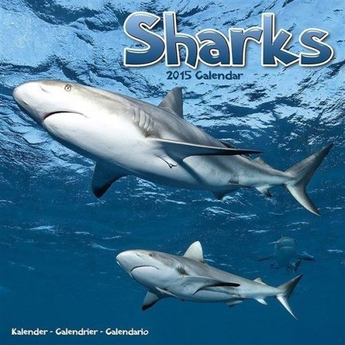 NEW 2015 Sharks Wall Calendar by Avonside- Free Priority Shipping!