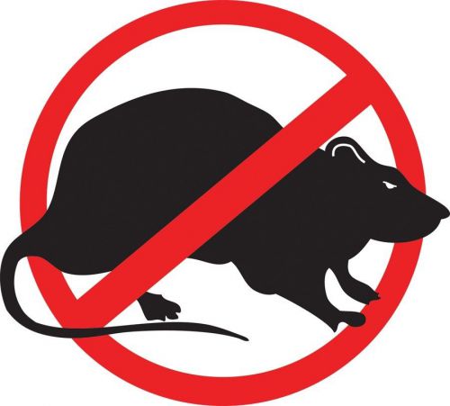 No rats union oilfield hard hat helmet tool box contractor sticker x 3 free ship for sale