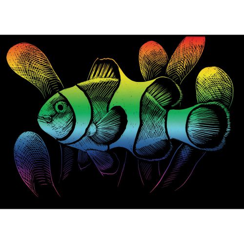 Engraving Tools Brush Rainbow Foil Art Mini Kit 5X7 Clownfish