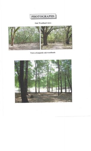 500 ACRES in GAINESVILLE FLORIDA for sale by owner