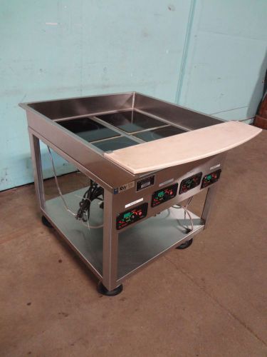 &#034;MR INDUCTION&#034; H.D.COMMERCIAL ELECTRIC INDUCTION WARMERS ON STAINLESS STEEL CART