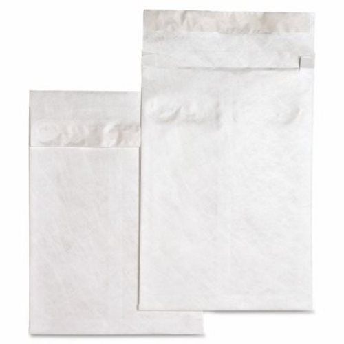 Sparco Tyvek Open-End Envelopes,Plain,12&#034;x16&#034;x2&#034;,100/CT/,White (SPR19808)