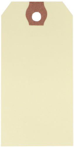 Aviditi G30032 10 Point Cardstock Pre-Strung Shipping Tag, 3-3/4&#034; Length x Case