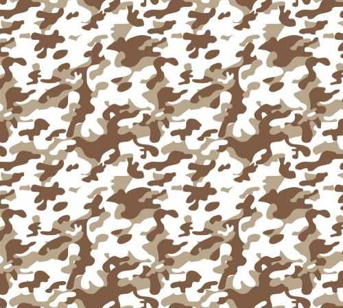 HYDROGRAPHIC HYDROGRAPHICS PRINT HYDRO DIPPING FILM Desert CAMO Camouflage dip 3