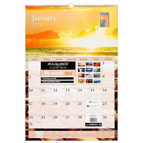 At-A-Glance AT-A-GLANCE Monthly Wall Calendar 2016, Scenic, 15-1/2 x 22-3/4