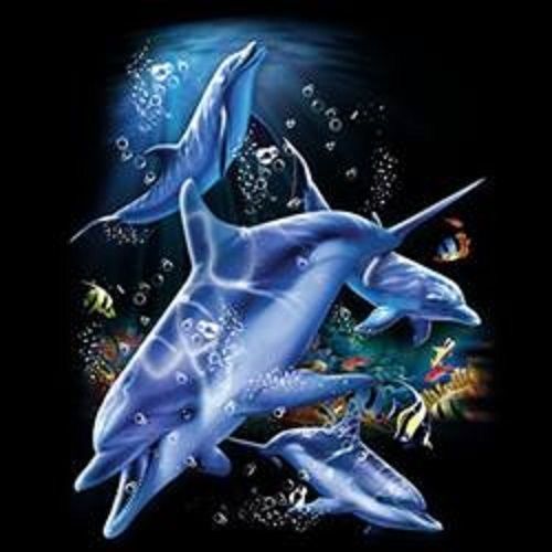 Dolphin Dance HEAT PRESS TRANSFER for T Shirt Sweatshirt Tote Quilt Fabric  252a