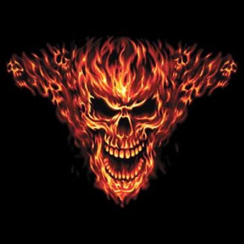 Inferno Flame Skull HEAT PRESS TRANSFER T Shirt Sweatshirt Fabric Print 727o