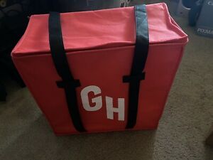 Insulated Delivery Grubhub Bag Large 18x18 Pizza Bag Hot Cold Lightly Used!