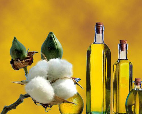 Cottonseed Oil - USP - 4 oz