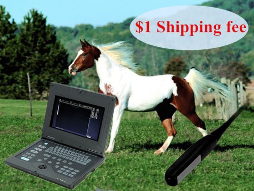 Special Offer Portable Veterinary Ultrasound Scanner Big LCD Laptop Rectal probe