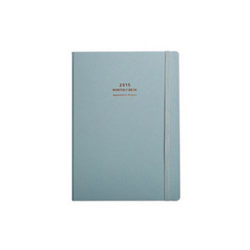 2015 A4 Monthly Appointment Planner Desk Diary Calendar Scheduler pistachio blue