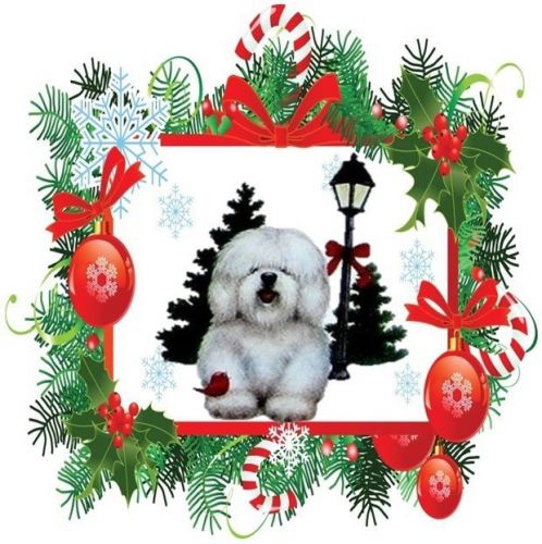 30 Personalized Christmas Animals Return Address Labels Gift Favor Tags (xa20)