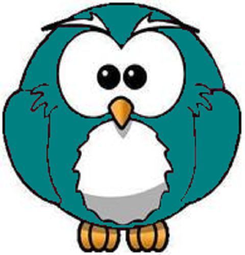 30 Custom Teal Owl Personalized Address Labels