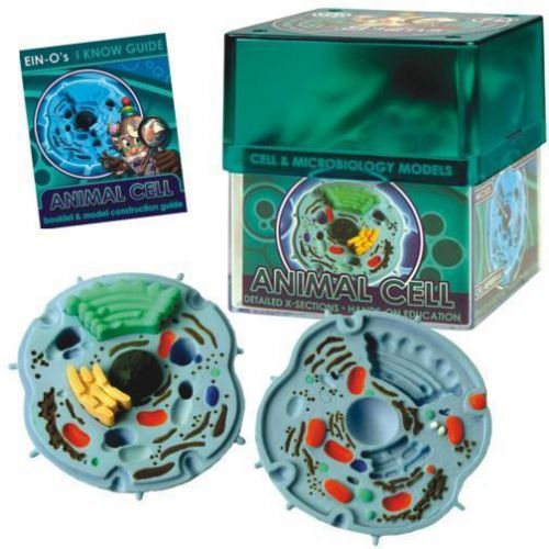 Biosigns animal cell model - biology classroom tool for sale