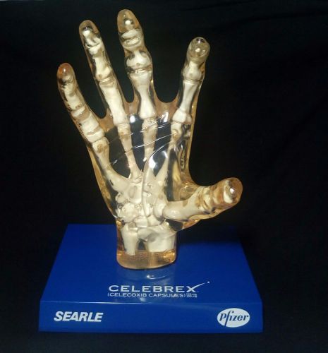 Vintage Celebrex Anatomical Model Human Hand Very Rare