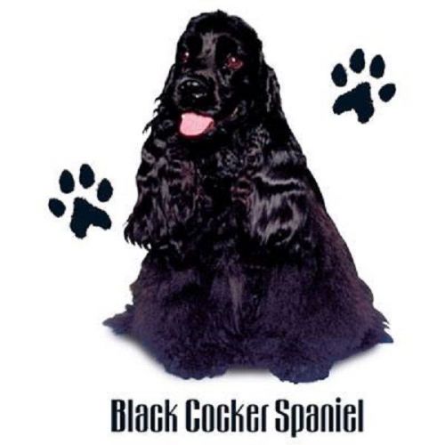 Black Cocker Spaniel Dog HEAT PRESS TRANSFER PRINT for T Shirt Sweatshirt #829c