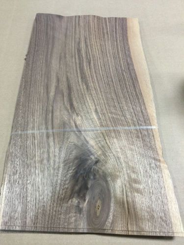 Wood veneer walnut 12x23 22pcs total raw veneer  &#034;exotic&#034; wal1 12-11 for sale
