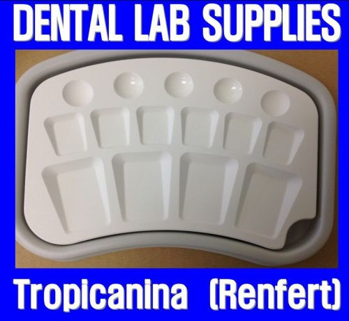New Dental Lab Tropicanina Porcelain Pallete Tray (Renfert)