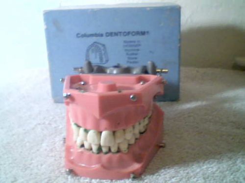 Columbia Dentoform Model 1361 32 Teeth W/Box