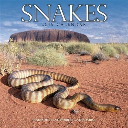 NEW 2015 Snakes Wall Calendar by Avonside- Free Priority Shipping!
