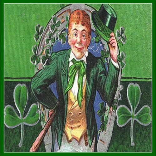 30 Custom Irish Leprechaun Personalized Address Labels
